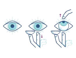 Coloque a lentes de contacto